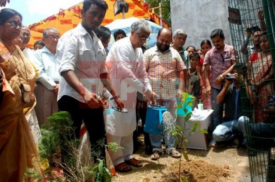 Amidst massive deforestation, CM marked World Environment Day with tree plantation